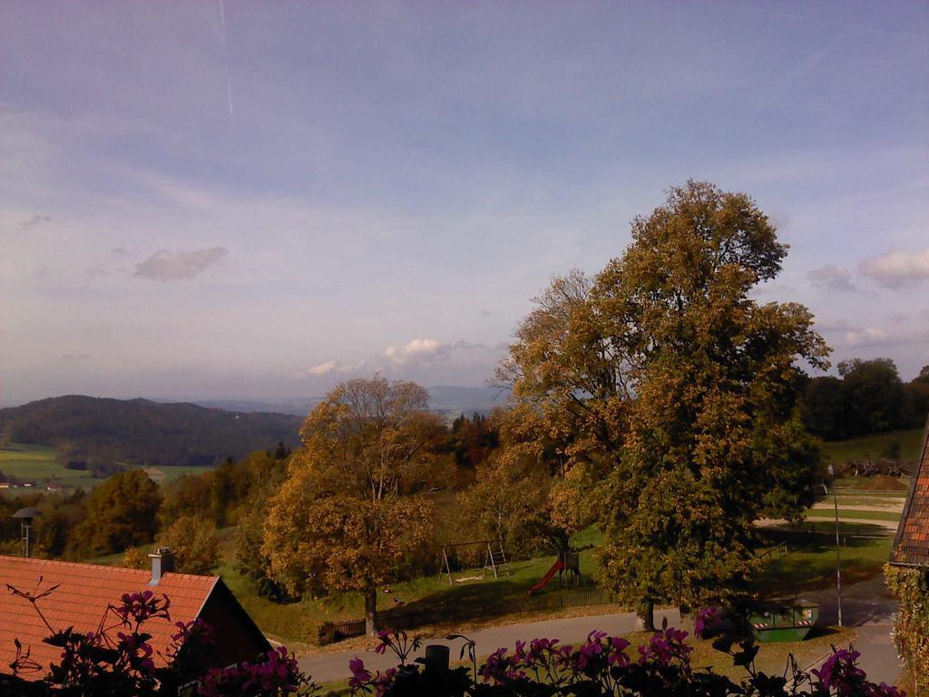Ferienwohnung Uschkereit Waldmünchen Esterno foto