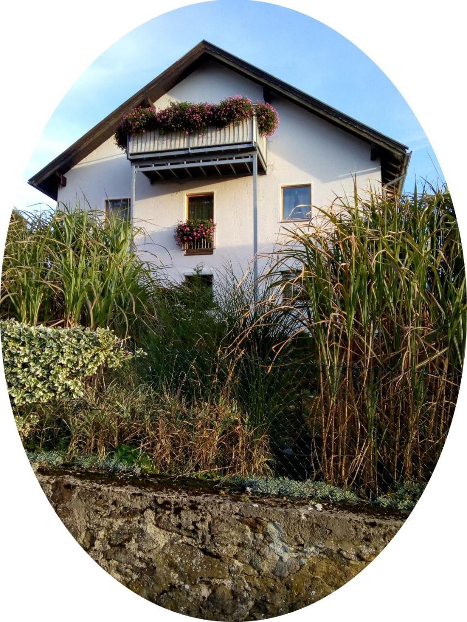 Ferienwohnung Uschkereit Waldmünchen Esterno foto